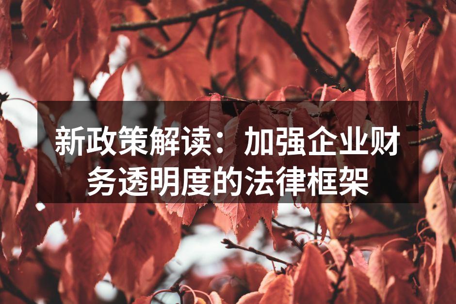新政策解读：加强企业财务透明度的法律框架
