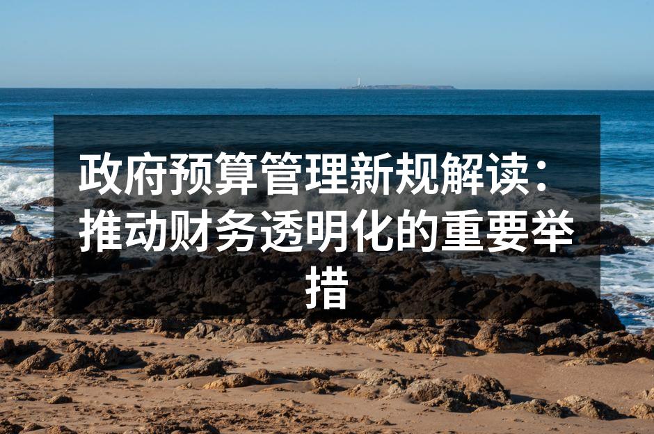 政府预算管理新规解读：推动财务透明化的重