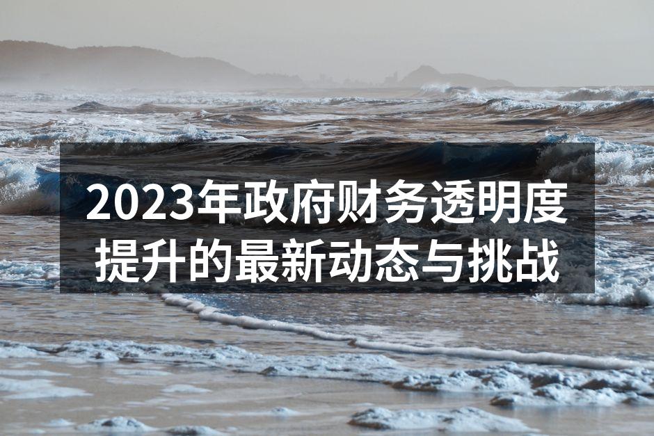 2023年政府财务透明度提升的最新动态与