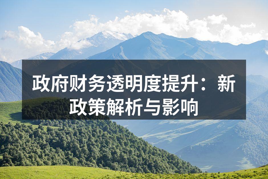 政府财务透明度提升：新政策解析与影响